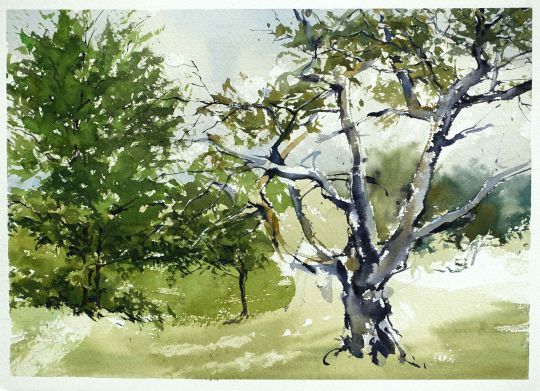 Aquarellkurse Aquarell malen lernen Werner Maier Malerei Landschaft