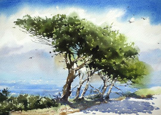 Aquarellkurse Landschaft malen lernen Aquarell Werner Maier Malerei