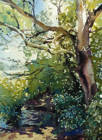 Aquarellkurse Landschaft malen lernen Aquarell Werner Maier Malerei